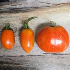 Afbeeldingsresultaat voor amish paste tomato