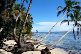 Image result for cahuita costa rica