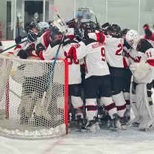 Image result for Devizes Hockey Club