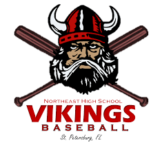 Image result for North East Vikings