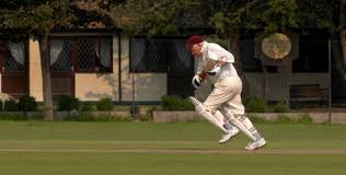 Image result for Havant Cricket Club