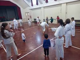 Image result for Alleyn School Of Japanese Karate