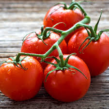 Bildergebnis für tomaten