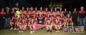 Image result for Rostrevor Hurling Club