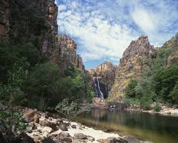 Billedresultat for kakadu n...