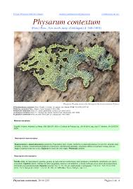 Attēlu rezultāti vaicājumam “Physarum contextum”