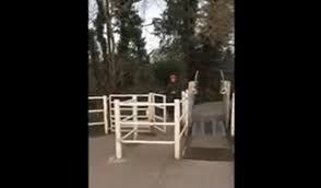 Image result for York Cycle Campaign