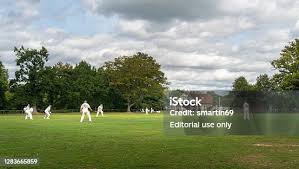 Image result for Wood Street Village Cricket Club
