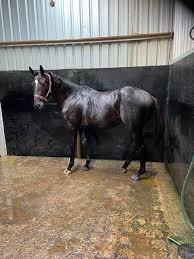 Image result for Bletchingly Badminton Club