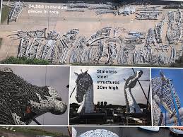 Image result for Scottish Equi Complex