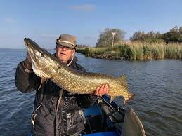 Image result for vissen