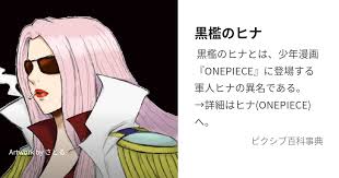 「ヒナ ONE PIECE」の画像検索結果