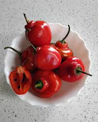 Afbeeldingsresultaat voor red rocoto hot pepper