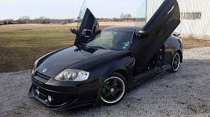 Image result for tuscani tibu...start=0