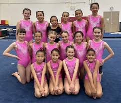 Image result for Border Counties School Of Gymnastics