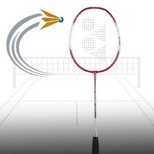 Image result for Beginners and Intermediate Badminton