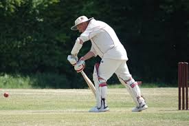 Image result for Shottermill Cricket Club
