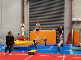 Image result for Abbey Flyers Trampoline Club