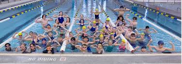 Image result for Kingsbridge Kingfishers Swimming Club