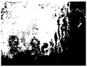 http://www.bittbox.com/wp-content/uploads/vector_grunge_21.png