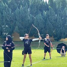 Image result for Blue Arrows Archery Club