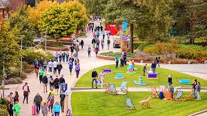 Image result for Edge Hill University Rounders