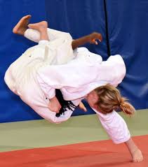 Image result for Moonraker Judo Club