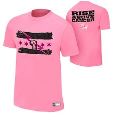 Image result for Rise Above Wrestling