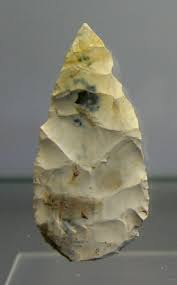 Image result for feuille-laurier-silex