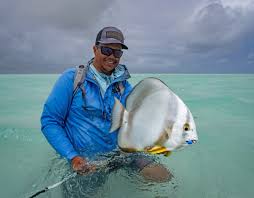 Image result for Polysteganus undulosus