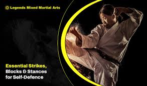 Image result for Bromsgrove Taijutsu Kai Self Defence