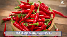Selecting Pepper Varieties - YouTube