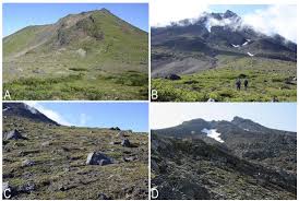 Attēlu rezultāti vaicājumam “Cladopodiella francisci”