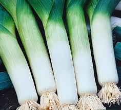 Image result for Porree