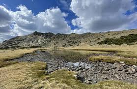 「parque los chor」の画像検索結果