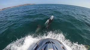 Image result for Jersey Sea Sport Centre - St Aubin, Jersey