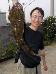 「渡邊オサム」の画像検索結果