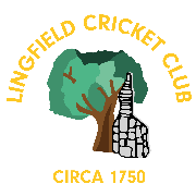 Image result for Chertsey Cricket Club