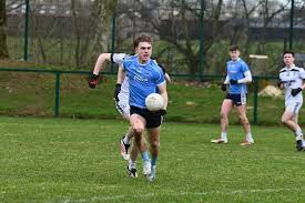 Image result for Tir Na Nog Gac