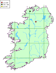 Attēlu rezultāti vaicājumam “Chaenotheca brachypoda”