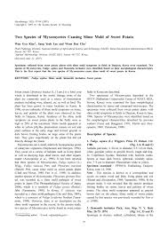 Attēlu rezultāti vaicājumam “Fuligo gyrosa”