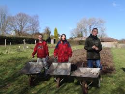 Image result for Nutley Hall Cricket Club