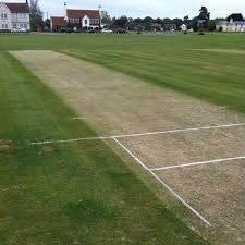 Image result for Bures and District Cricket Club