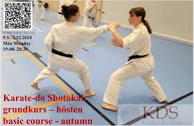 Image result for Reading Karate-Do Shotokai