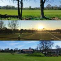 Image result for Old Reigatian Rfc Junior & Mini