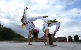 Image result for Brazilian-martial arts