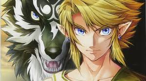 Image result for link twilight princess