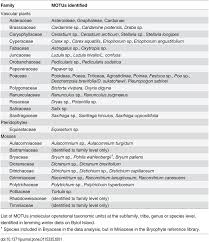 Attēlu rezultāti vaicājumam “Distichium capillaceum sporophyte”