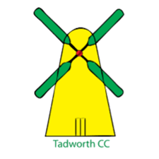 Image result for Woodmansterne Cricket Club