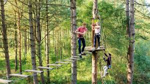 Image result for Go Ape! Leeds Castle